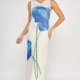 Solana Mesh Maxi Dress - Blue
