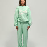 Terry Straight Leg Drawstring Pants - Robin